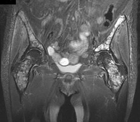 Anatomy Board Review 2008: High-Yield MCQs (Set 2) - Figure 6