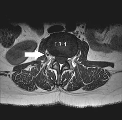 Anatomy Board Review 2008: High-Yield MCQs (Set 2) - Figure 9
