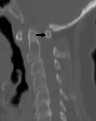 Anatomy 2008 Practice Questions: Set 3 (Solved) - Figure 13