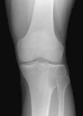 Anatomy 2026 MCQs: Board Review Questions & Answers (Part 1) - Figure 123