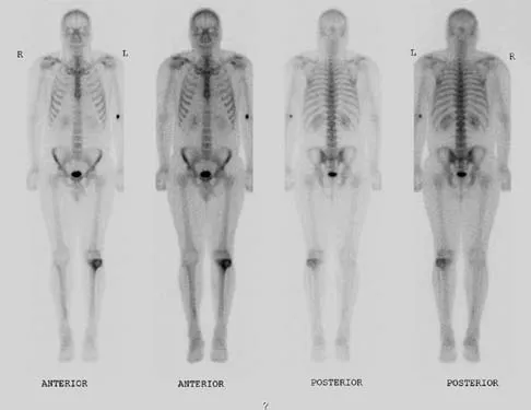 Anatomy 2026 MCQs: Board Review Questions & Answers (Part 1) - Figure 127