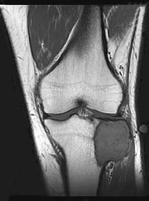 Anatomy 2026 MCQs: Board Review Questions & Answers (Part 1) - Figure 129