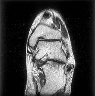Anatomy 2026 MCQs: Board Review Questions & Answers (Part 1) - Figure 23