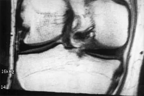 Anatomy 2026 MCQs: Board Review Questions & Answers (Part 1) - Figure 33