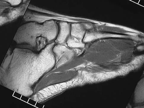 Anatomy 2026 MCQs: Board Review Questions & Answers (Part 2) - Figure 105