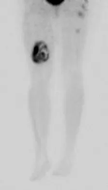 Anatomy 2026 MCQs: Board Review Questions & Answers (Part 2) - Figure 135