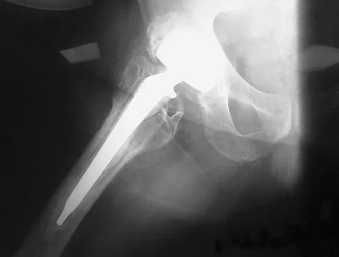 Anatomy 2026 MCQs: Board Review Questions & Answers (Part 2) - Figure 165