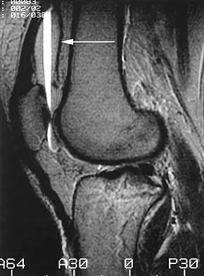 Anatomy 2026 MCQs: Board Review Questions & Answers (Part 2) - Figure 19