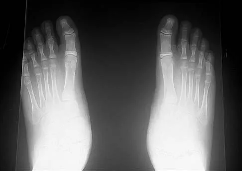 Anatomy 2026 MCQs: Board Review Questions & Answers (Part 2) - Figure 69