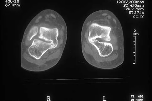 Anatomy 2026 MCQs: Board Review Questions & Answers (Part 2) - Figure 75