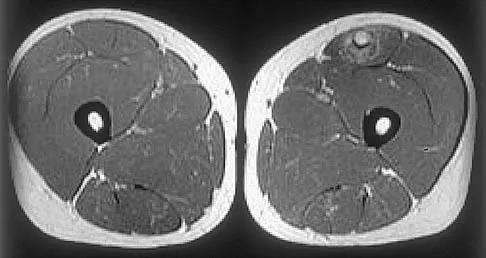 Anatomy 2026 MCQs: Board Review Questions & Answers (Part 3) - Figure 33