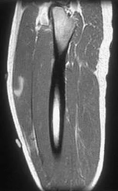 Anatomy 2026 MCQs: Board Review Questions & Answers (Part 3) - Figure 37