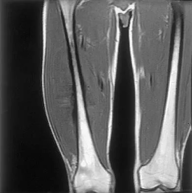 Anatomy 2026 MCQs: Board Review Questions & Answers (Part 3) - Figure 41