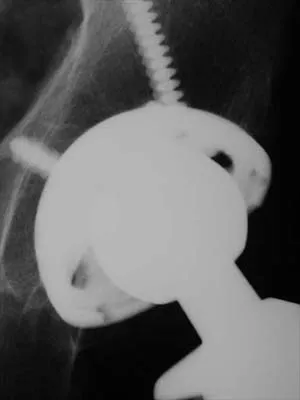 Anatomy 2026 MCQs: Board Review Questions & Answers (Part 4) - Figure 11