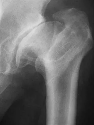 Anatomy 2026 MCQs: Board Review Questions & Answers (Part 4) - Figure 19