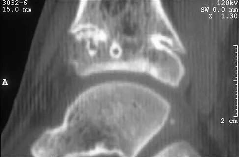 Anatomy 2026 MCQs: Board Review Questions & Answers (Part 4) - Figure 41