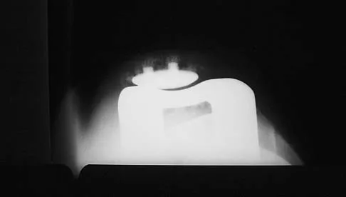 Anatomy 2026 MCQs: Board Review Questions & Answers (Part 4) - Figure 45