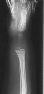 Anatomy 2026 MCQs: Board Review Questions & Answers (Part 4) - Figure 55