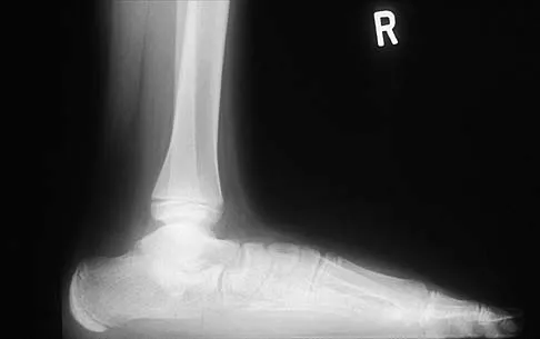 Anatomy 2026 MCQs: Board Review Questions & Answers (Part 4) - Figure 7