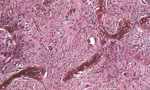 Basic Science Board Review 2000: High-Yield MCQs (Set 2) - Figure 13