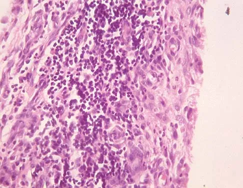 Basic Science 2000 Practice Questions: Set 3 (Solved) - Figure 8