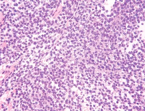 Basic Science 2002 Practice Questions: Set 1 (Solved) - Figure 8