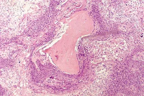 Basic Science 2005 Practice Questions: Set 1 (Solved) - Figure 28