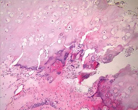 Click to enlarge Basic Science 2005 Practice Questions: Set 1 (Solved) - Figure 52