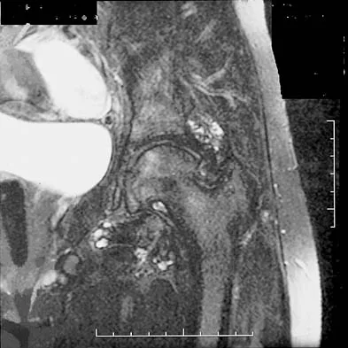Basic Science 2026 MCQs: Board Review Questions & Answers (Part 1) - Figure 17
