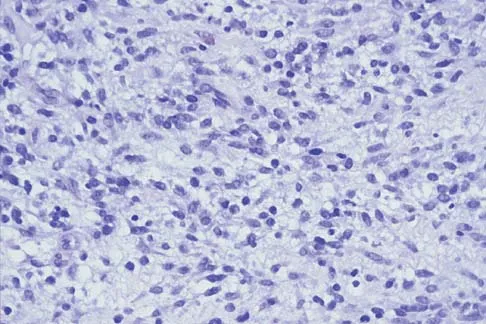 General Orthopedics 2026 Practice Questions: Set 13 (Solved) - Figure 21