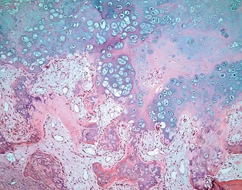 General Orthopedics 2026 Practice Questions: Set 13 (Solved) - Figure 37