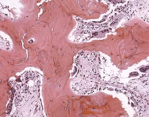 Mtd 2026 MCQs: Board Review Questions & Answers (Part 2) - Figure 9