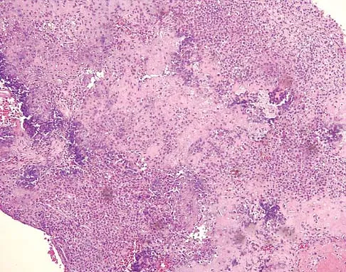 Orthopedic Surgery Board Review 2026 | High-Yield MCQs - Set 9 - Figure 13