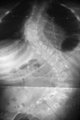 Pediatrics Board Review 2001: High-Yield MCQs (Set 2) - Figure 8