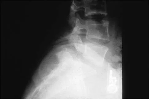 Pediatrics 2026 MCQs: Board Review Questions & Answers (Part 1) - Figure 181