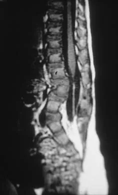 Pediatrics 2026 MCQs: Board Review Questions & Answers (Part 1) - Figure 213