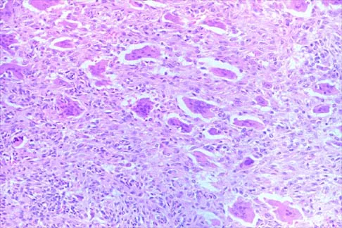 Pediatrics 2026 MCQs: Board Review Questions & Answers (Part 4) - Figure 27