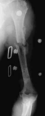 Trauma Board Review 2000: High-Yield MCQs (Set 2) - Figure 14