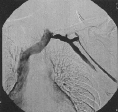Upper Extremity 2026 MCQs: Board Review Questions & Answers (Part 1) - Figure 49