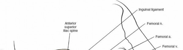 Illustration 58 for Unlocking Every Aspect of the Hip's Surgical Approaches