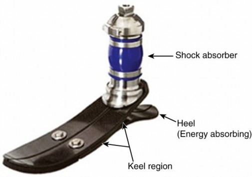 قدم Ceterus الاصطناعية مع زنبرك ورقي مدمج ووحدة امتصاص الصدمات
