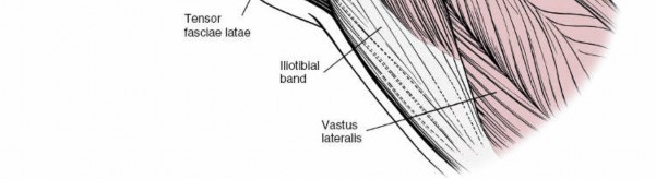 Illustration 63 for Unlocking Every Aspect of the Hip's Surgical Approaches