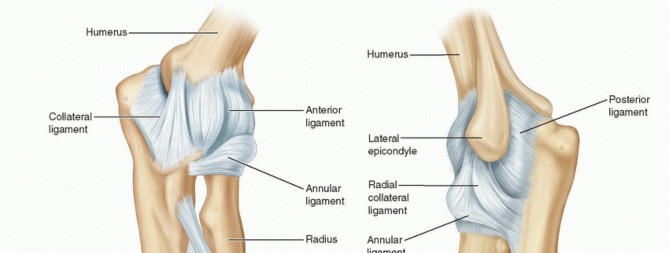 Regain Elbow Function: Expert Treatment of Elbow Stiffness
