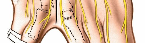 Illustration 223 for Optimized Approaches to the Dorsum of the Foot & Ankle