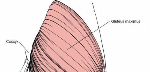 Illustration 115 for Optimal Femoral Approaches: Mastering the Lateral Intermuscular Septum