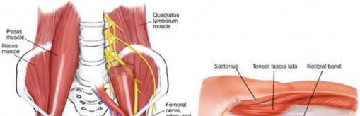 Illustration 10 for Stop the Snap: Hip Preservation for Snapping Iliopsoas Tendon