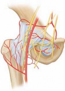 Anterior Drainage: Key to Treating Arthritis of the Hip in Children