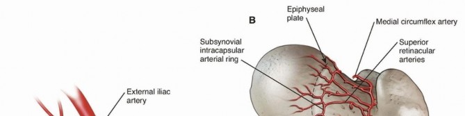 Pediatric Femoral Nailing: Targeting the Right aspect of the greater Trochanter