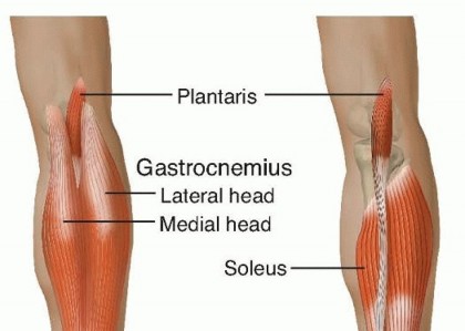 Achilles Tendon Repair: Master Your Early Recovery Journey