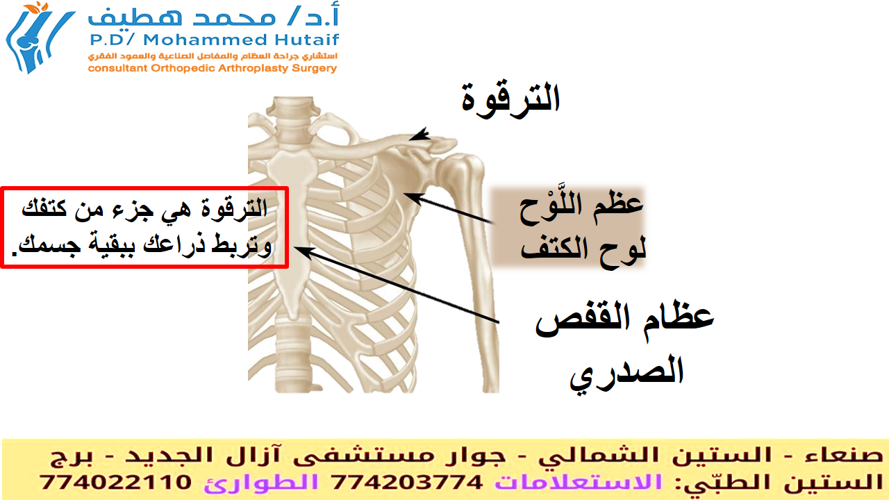 كسر في الترقوه: الأسباب، الأعراض، خيارات العلاج والتعافي الكامل